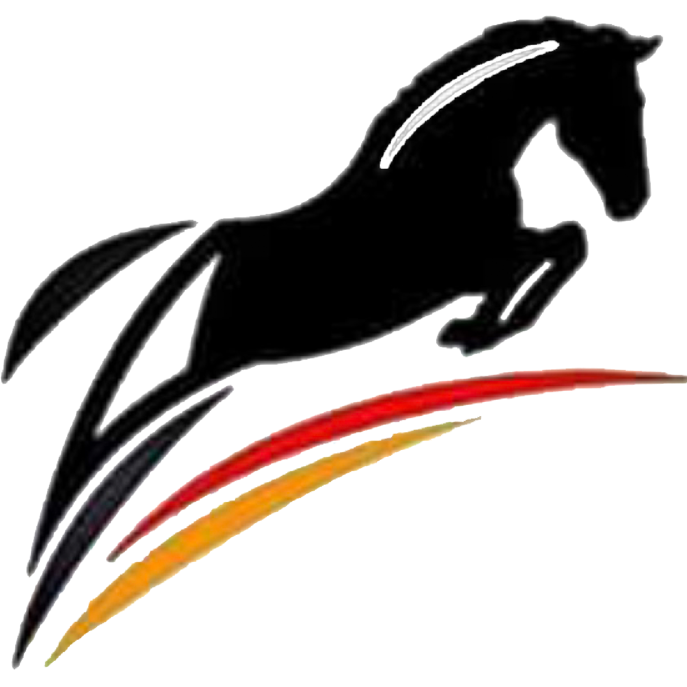 Mirandus Medical Services